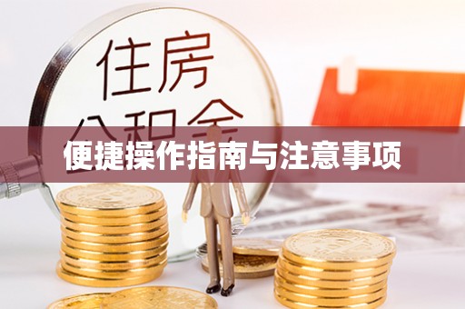 务川便捷操作指南与注意事项
